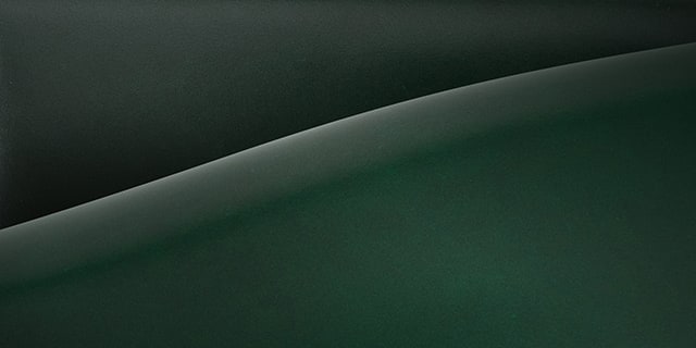 アニリン染めコードバン レーデルオガワ