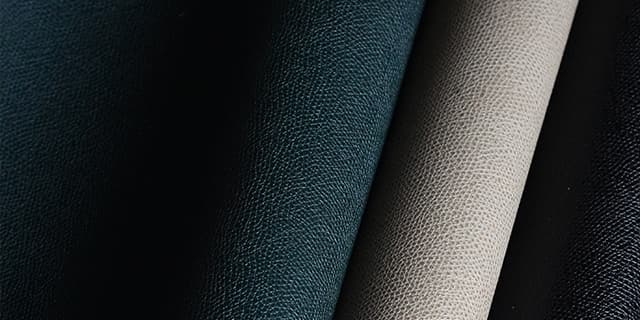 ドーフィン アース社 ※旧：デギャーマン社