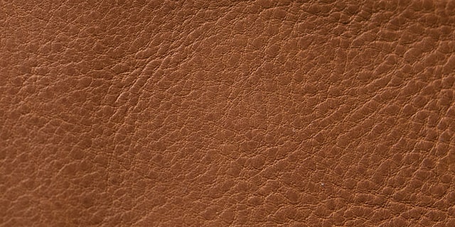 ミネルバ・ボックス バダラッシカルロ社