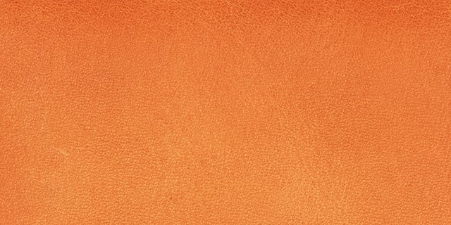 ニューヨーク エムピージー社