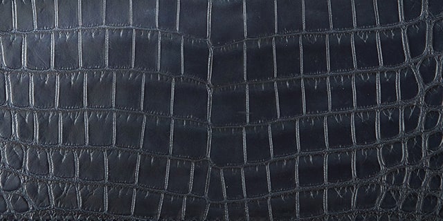 ナイルクロコダイル