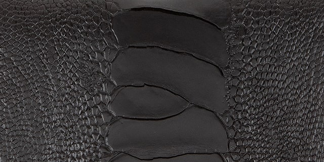 オーストリッチレッグ