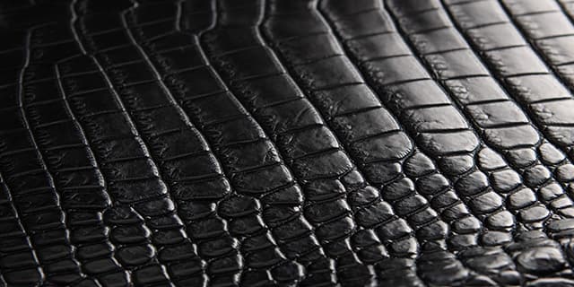 ポロサス（クロコダイル）