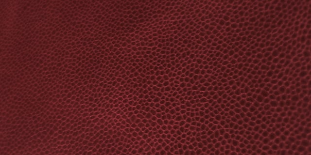 ロディ テンペスティ社