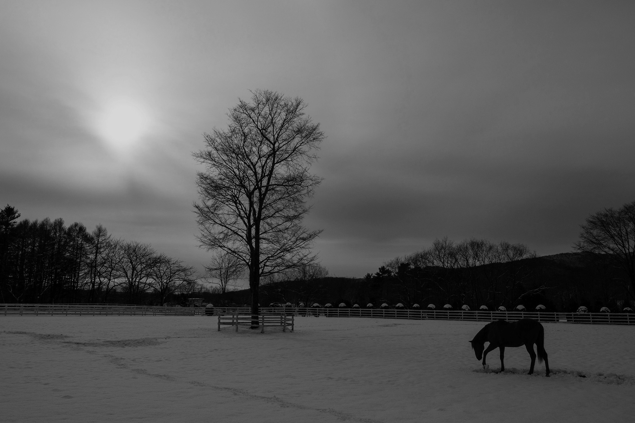 その他のアイテム