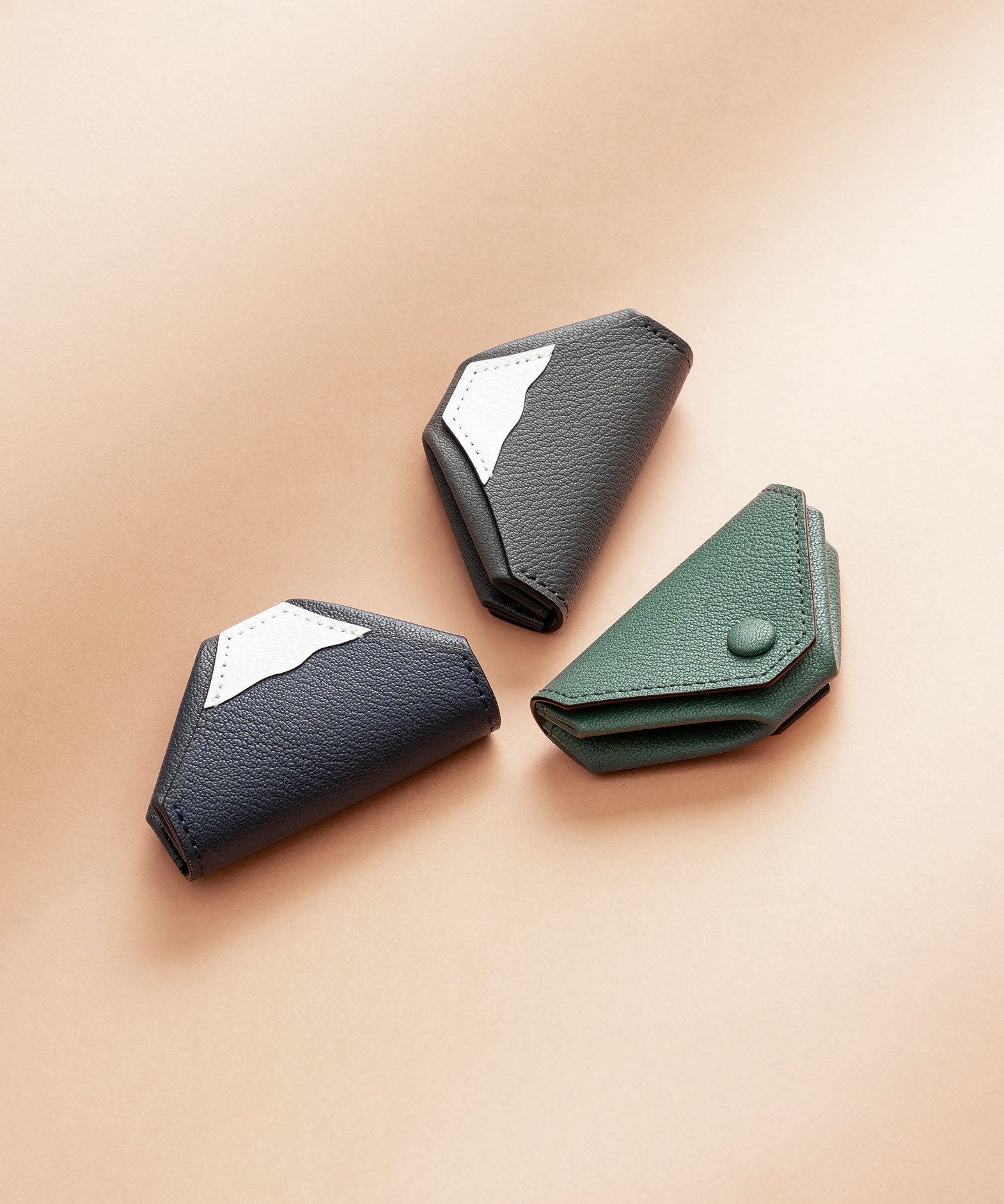 シェーブル 富士山コインケース